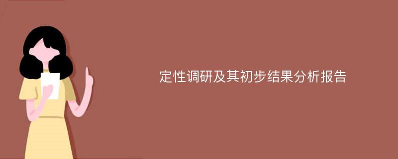 定性调研及其初步结果分析报告