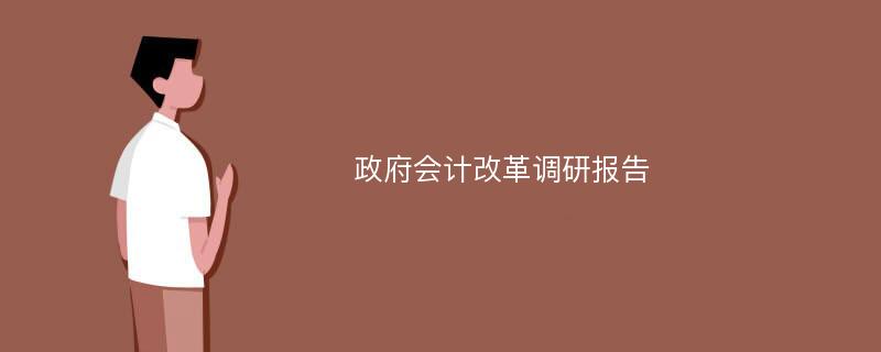 政府会计改革调研报告